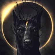 Hassliebe